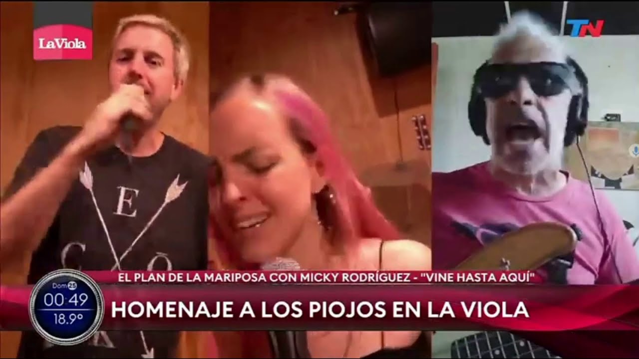 EL PLAN DE LA MARIPOSA - VINE HASTA AQUI (Los Piojos)