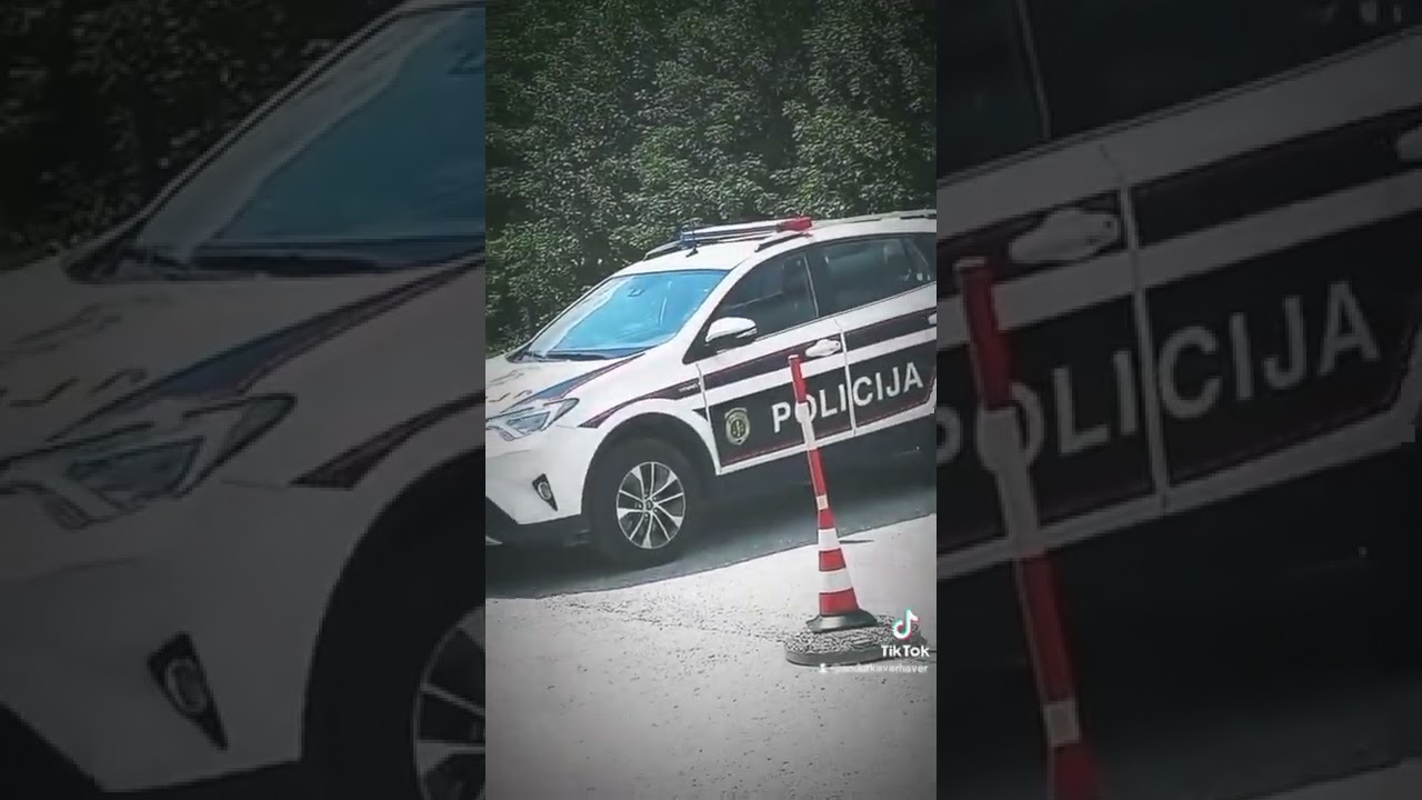 Problemi sa policijom
