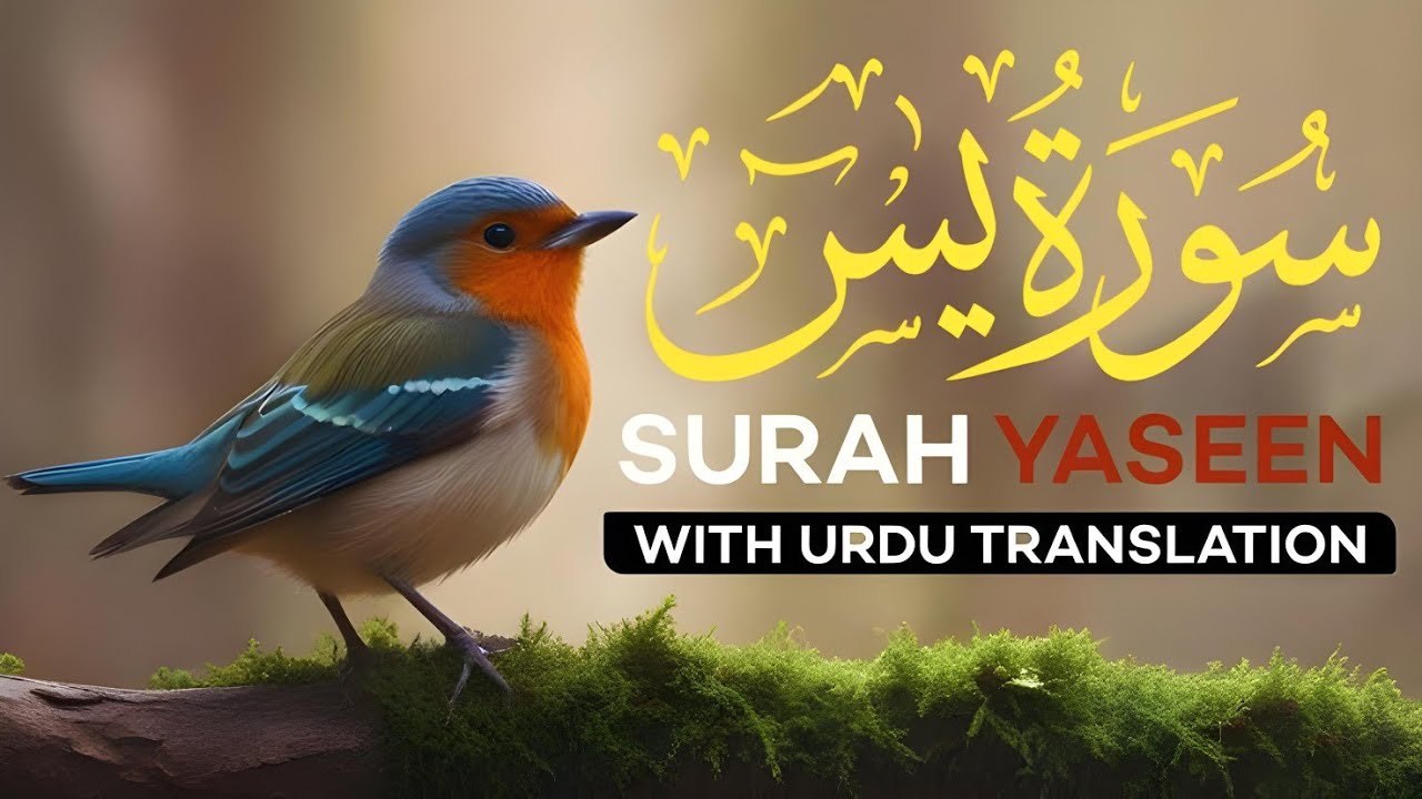 Surah Yasin | Surat Yaseen with Urdu Translation | Quran Tilawat Beautiful Voice | Hindi Tarjuma