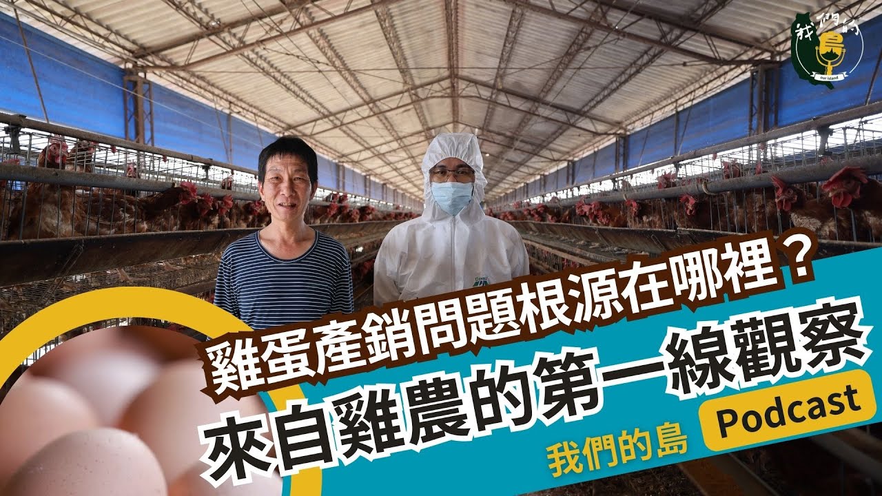 雞蛋產銷問題根源在哪裡？來自雞農的第一線觀察｜feat. 台中市養雞協會蛋雞組組長紀硯鈞｜實地雞場來開講 公視我們的島 Podcast @EP.19