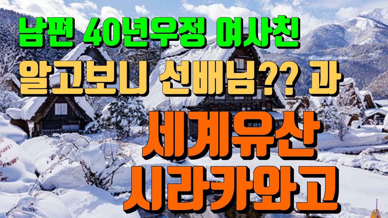 일본 시라카와고 여행, 40년 만에 만난 남편 친구가 알고 보니 내 선배?! (반전 포함)#시라카와고 #나고야여행 #일본여행 #우정여행 #브이로그 #갓쇼즈쿠리 