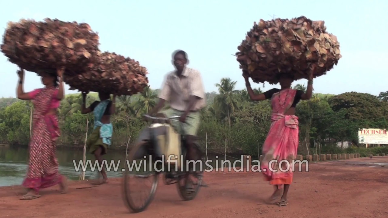 Siddhi tribal village in Karnataka : people of Africa origin