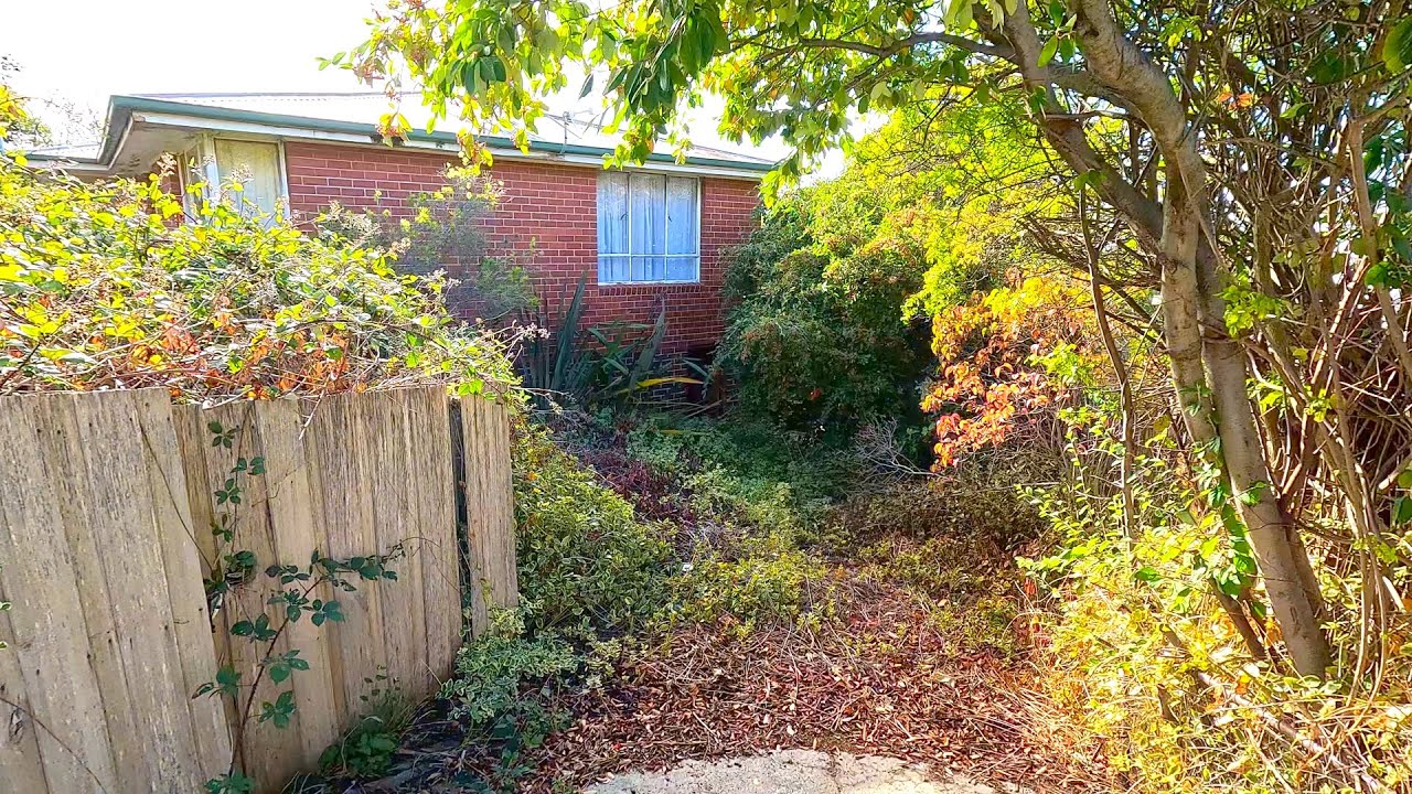 This Driveway Catastrophe has been Neglected for Over 10 Years!