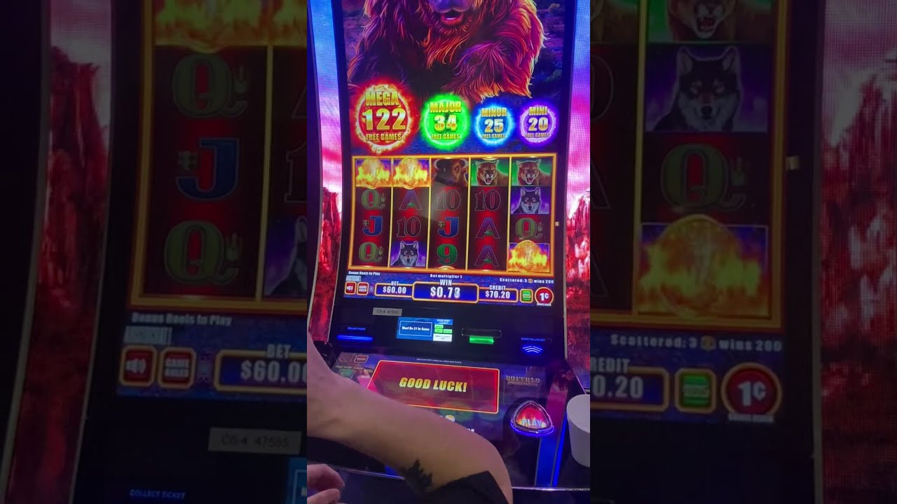 Buy Bonus Buffalo Power Pay 