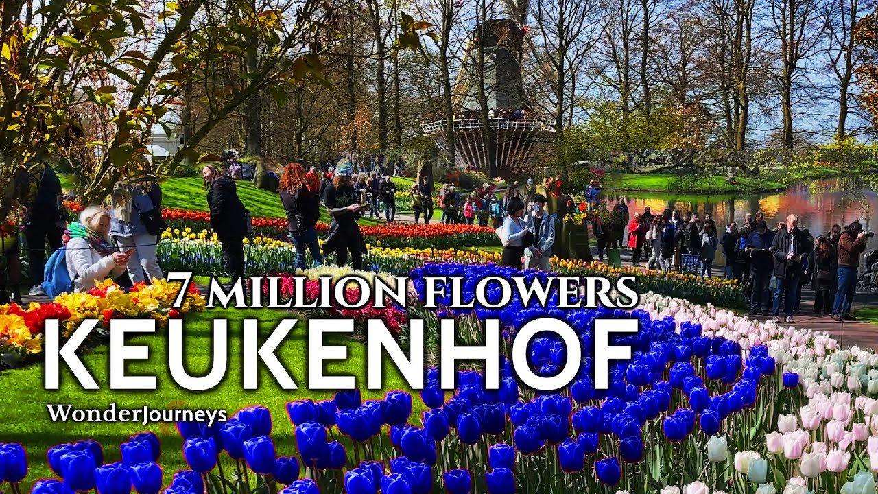 Kekenkhof 🌷 7 millionov tsvetov 🌷 Sad Yevropy