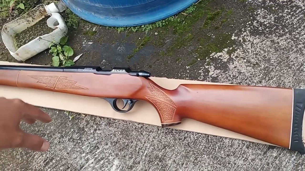 PCP ruger akurasi selalu dihati anjay