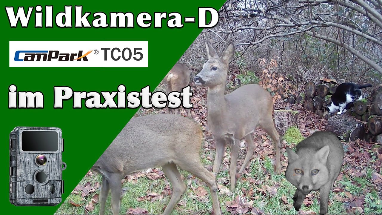 Wildkamera Campark TC05 im Praxistest