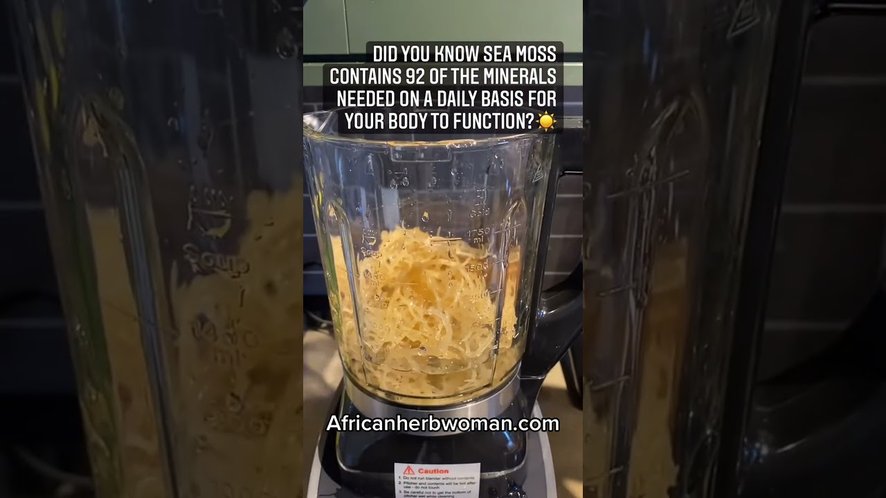Diy sea moss gel: boost health & wellness naturally 