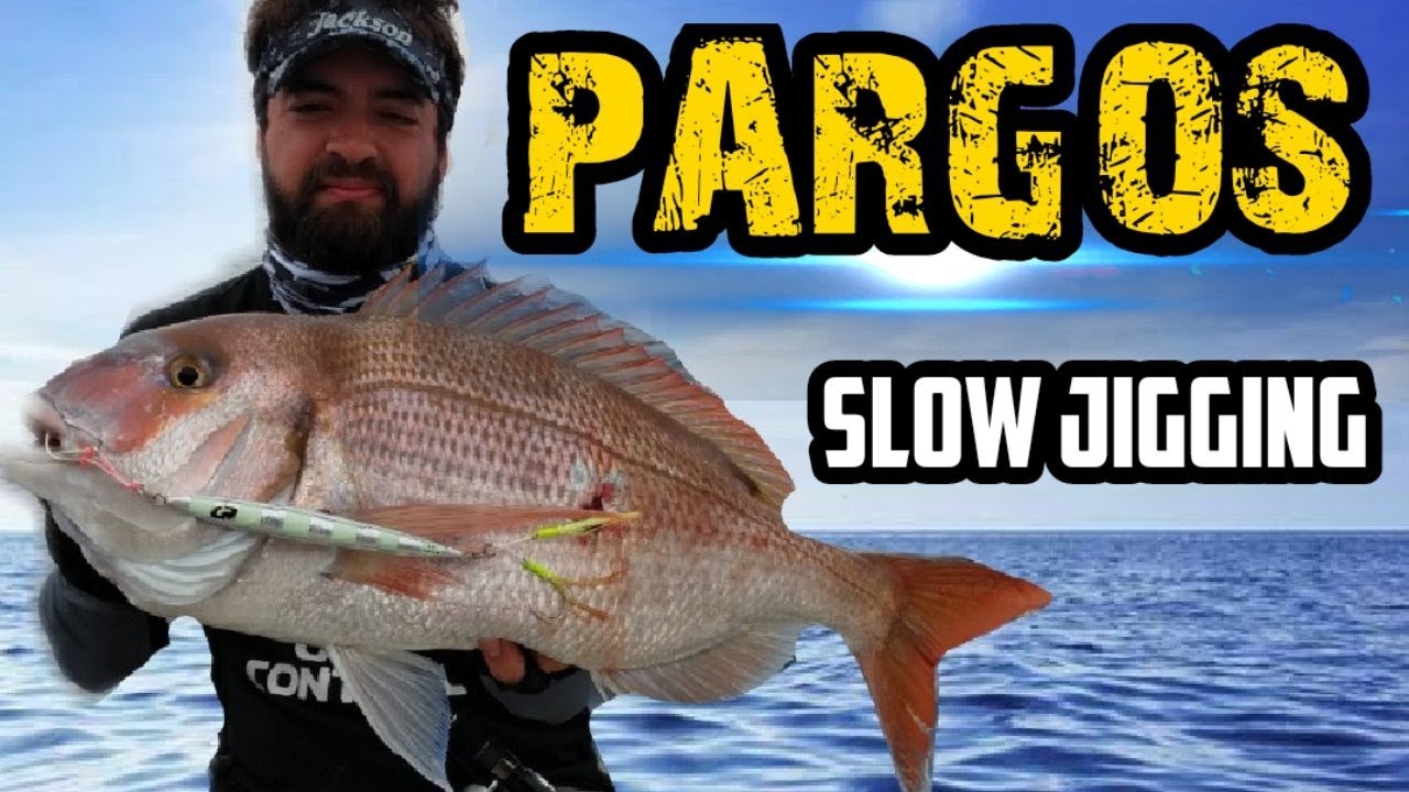 PARGOS no SLOW PITCH JIGGING - PESCARIA em ALTO MAR / TÉCNICA / vídeo de PESCA