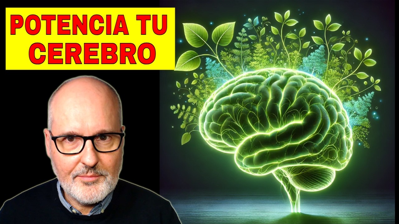 12 Mejores PLANTAS para la MEMORIA y CONCENTRACIÓN