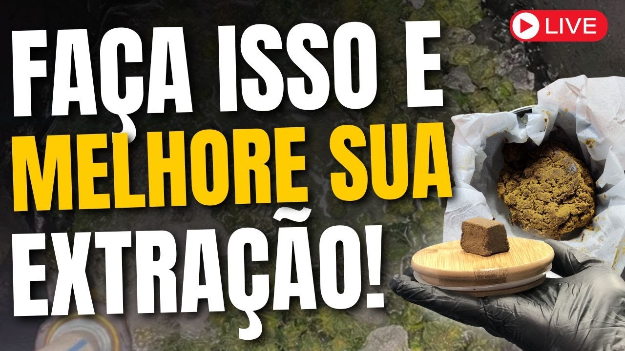 Como fazer um ICE Eficiente - Extra&ccedil;&atilde;o de TRICOMAS Sem Erro