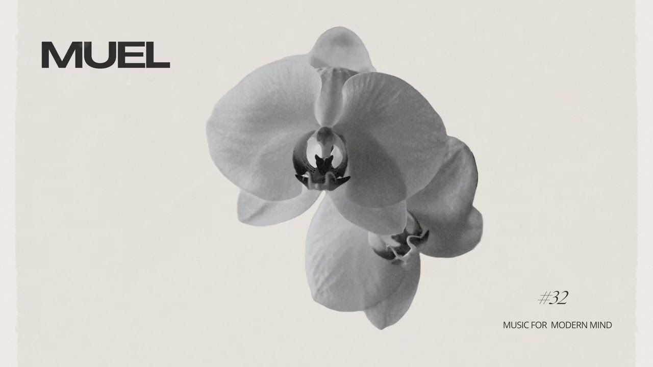 MUEL #32: Morning Clarity Mix | Smooth Electronica for a Productive Thursday