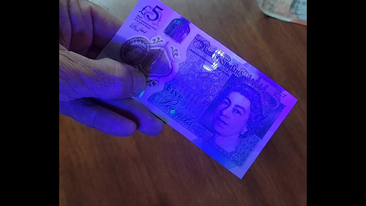 UV Blacklight Forged Note Detector | A Retail Must