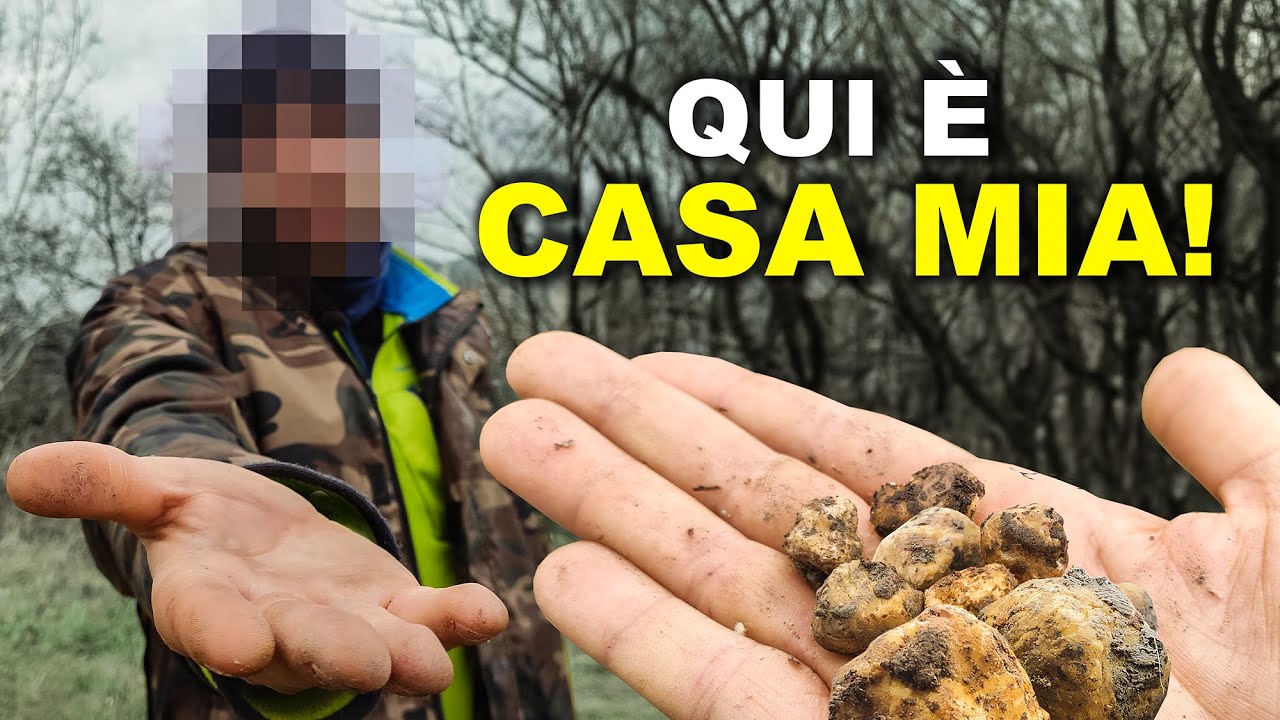 A TARTUFO BIANCO in CASA D'ALTRI (...ho dovuto censurarlo!)