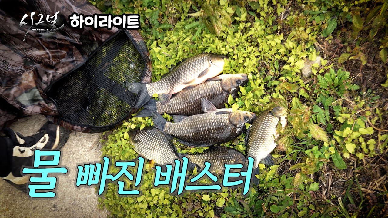 [하이라이트] 시그널2 20회 - 물 빠진 배스터 (2025.12.22.방송)