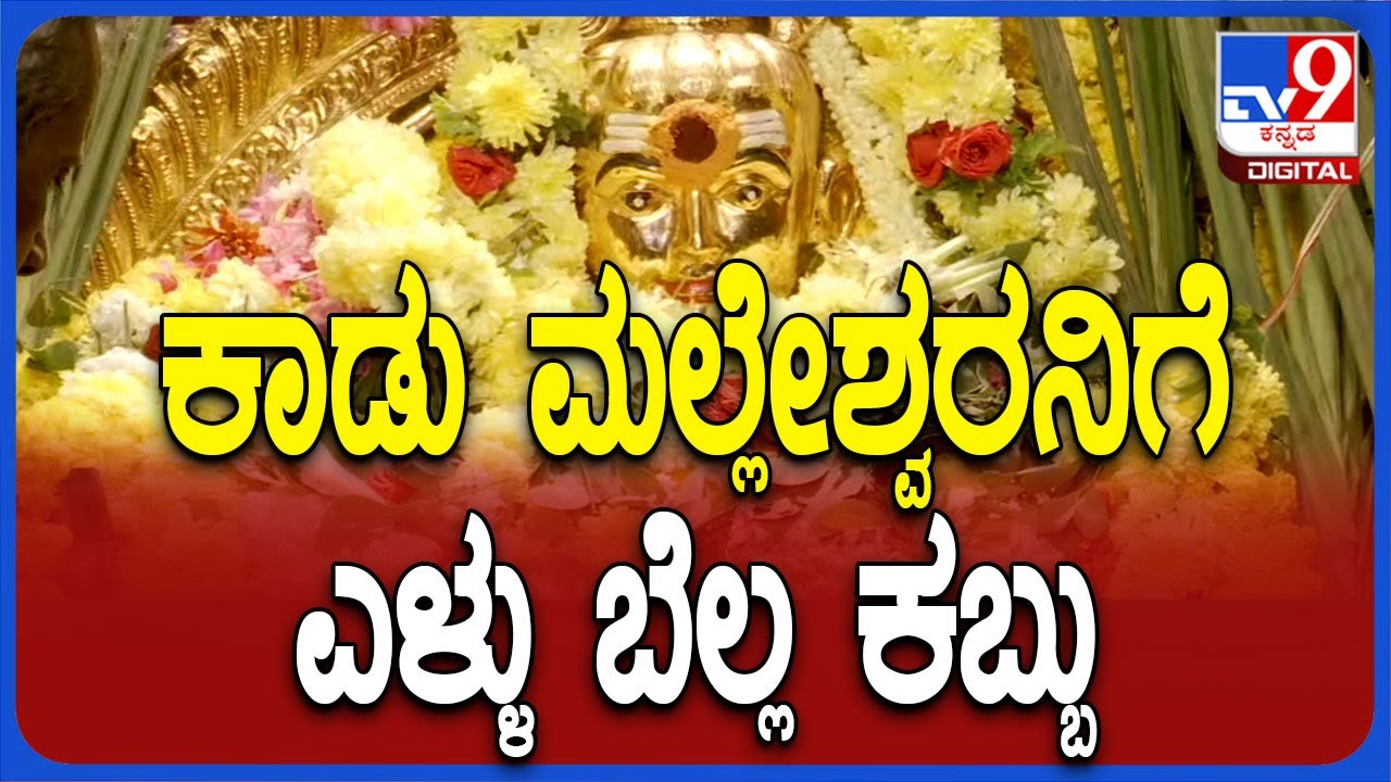 Kadu Malleshwara Temple: ಮಲ್ಲೇಶ್ವರಂನ ಕಾಡು ಮಲ್ಲೇಶ್ವರ ಸನ್ನಿಧಿಯಲ್ಲಿ ಭಕ್ತರ ದಂಡು | #TV9D