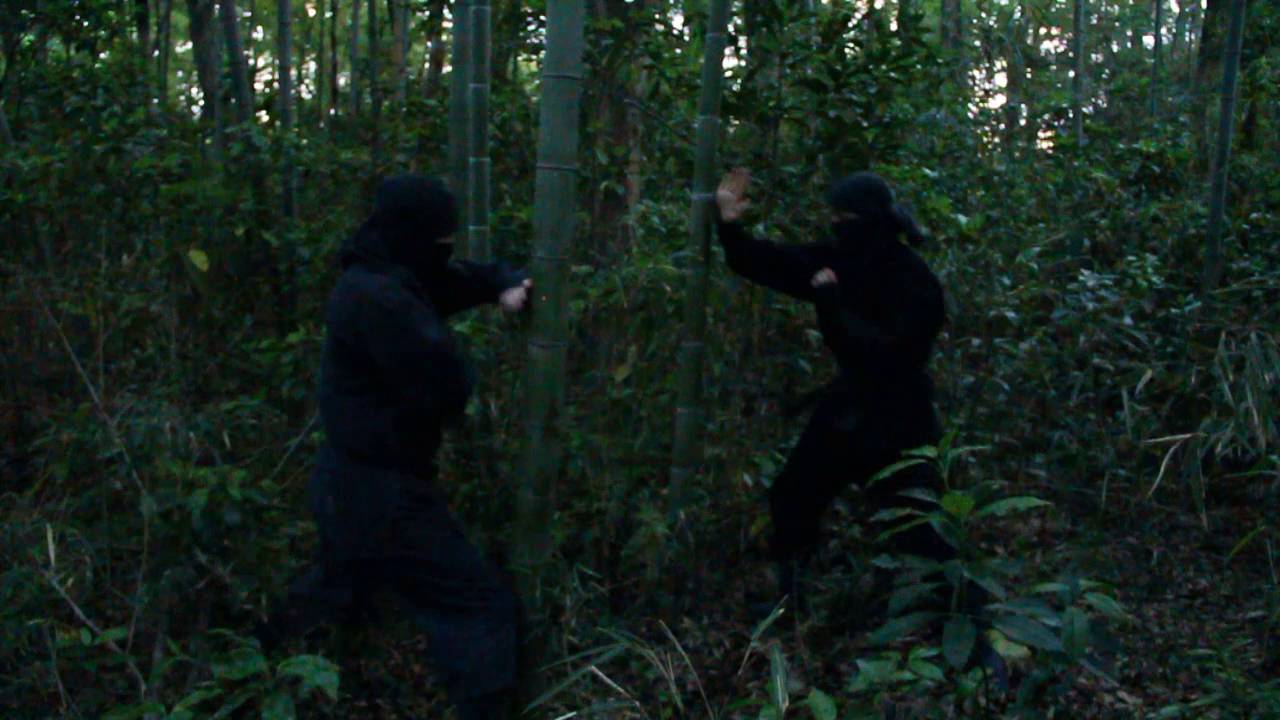 Atemi no tanren in bamboo forest