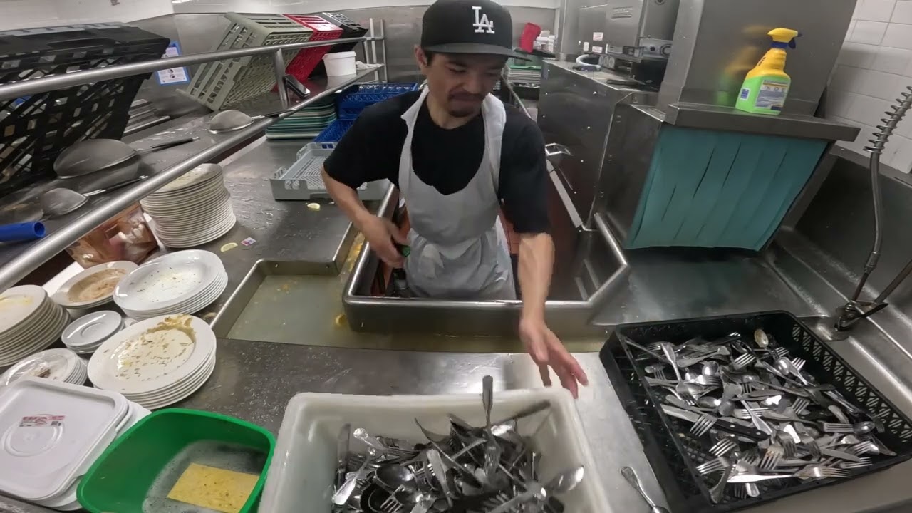 The Secret Art of Professional Dishwashing Revealed