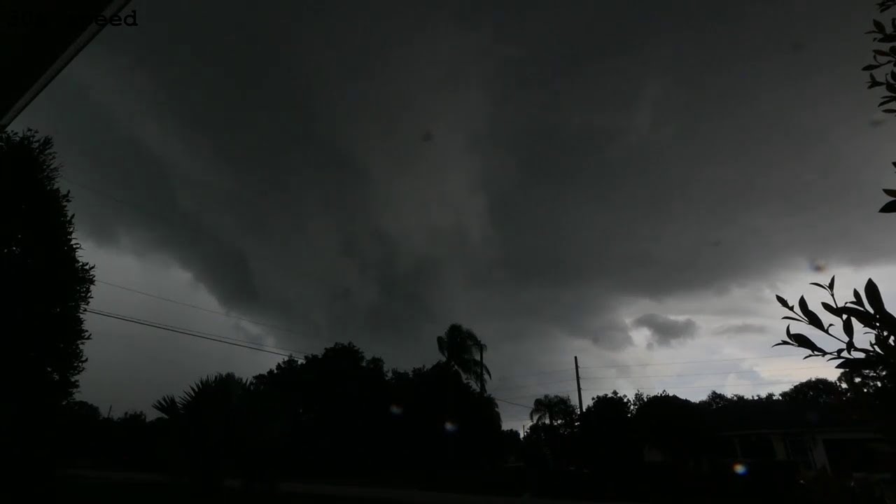 Complete Florida Thunderstorm #3 (August 5, 2019)