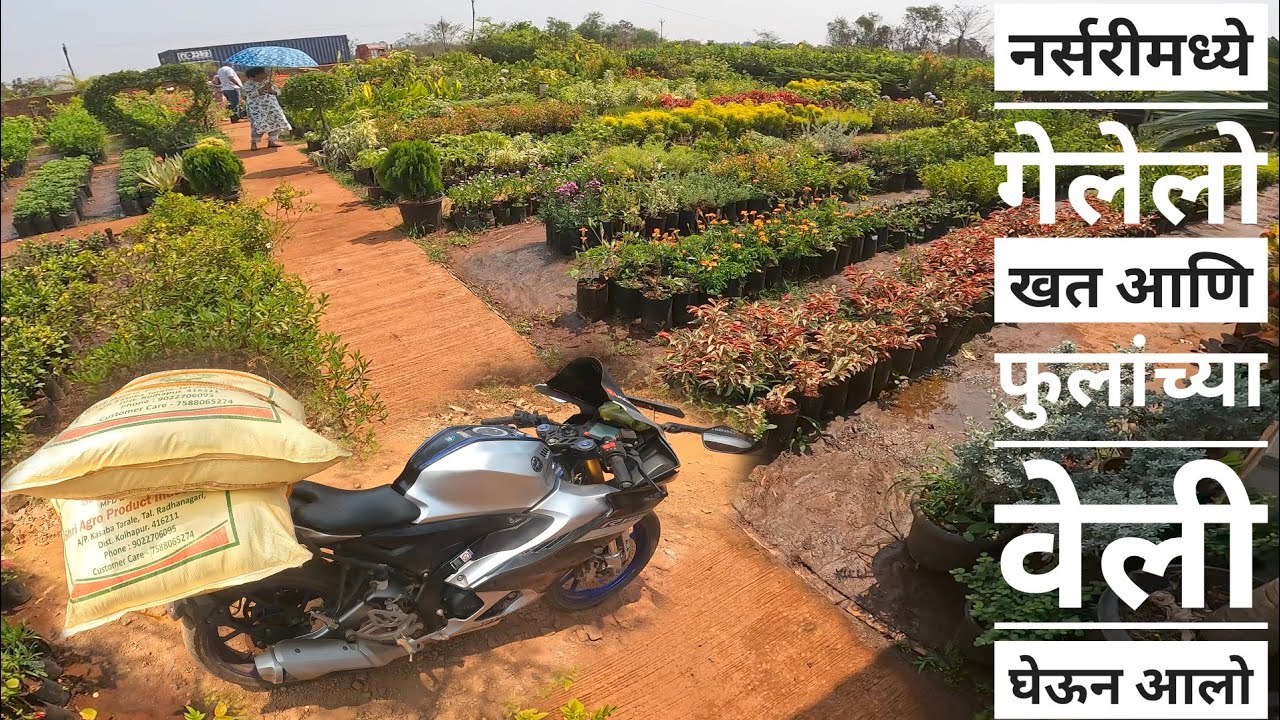 आज गेलो नर्सरी मध्ये.. खत आणि झाडे घेतली.. #dailyvlog #home #villagelife #dailyvlog #konkan 