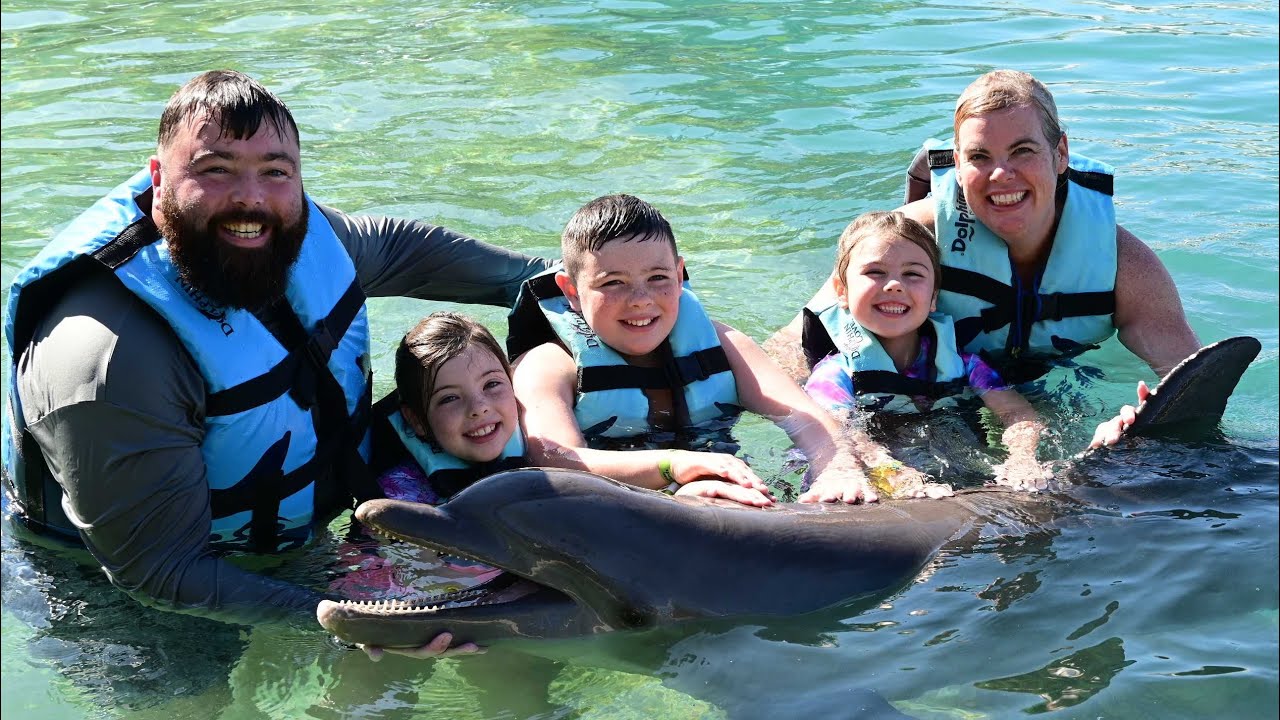 Dolphin Encounter Grand Cayman 2025 swim with dolphins what to expect royal swim 