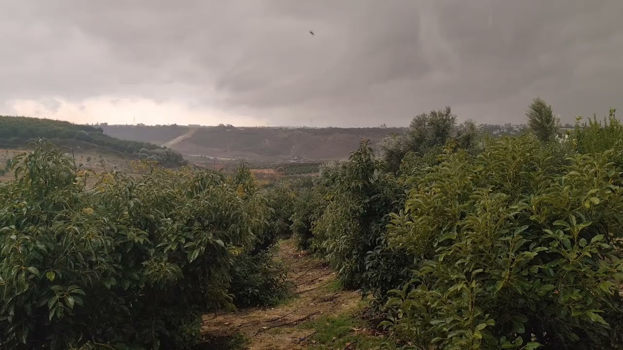 Şiddetli yağmur asmr||Rain is relaxing||Kesintisiz uzun yağmur fırtına 