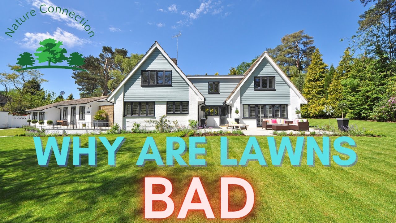 The Hidden Environmental Impact of Lawns: Unveiling the Truth | Nature Connection
