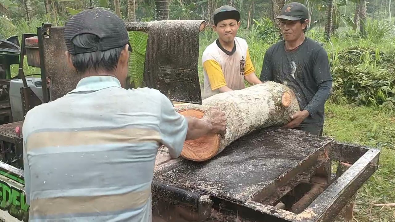 Sangat Indah, Lempengan Kayu Keras Digergaji Dengan Gergaji Bundar Dibuat Menjadi Bilah Kayu