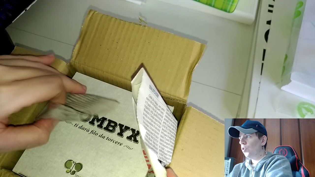 Bachi da seta allevamento Bombyx kit - Smartbugs Vlog 1