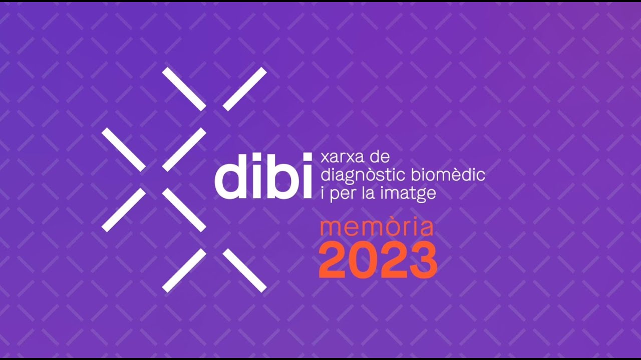 Memòria anual 2023 xarxa dibi
