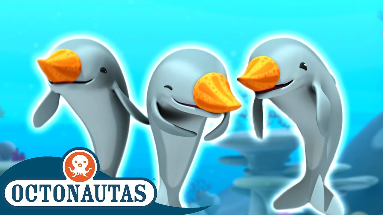 Octonautas - Brincando com Golfinhos 🐬 | Dia Nacional dos Golfinhos | Episódios inteiros