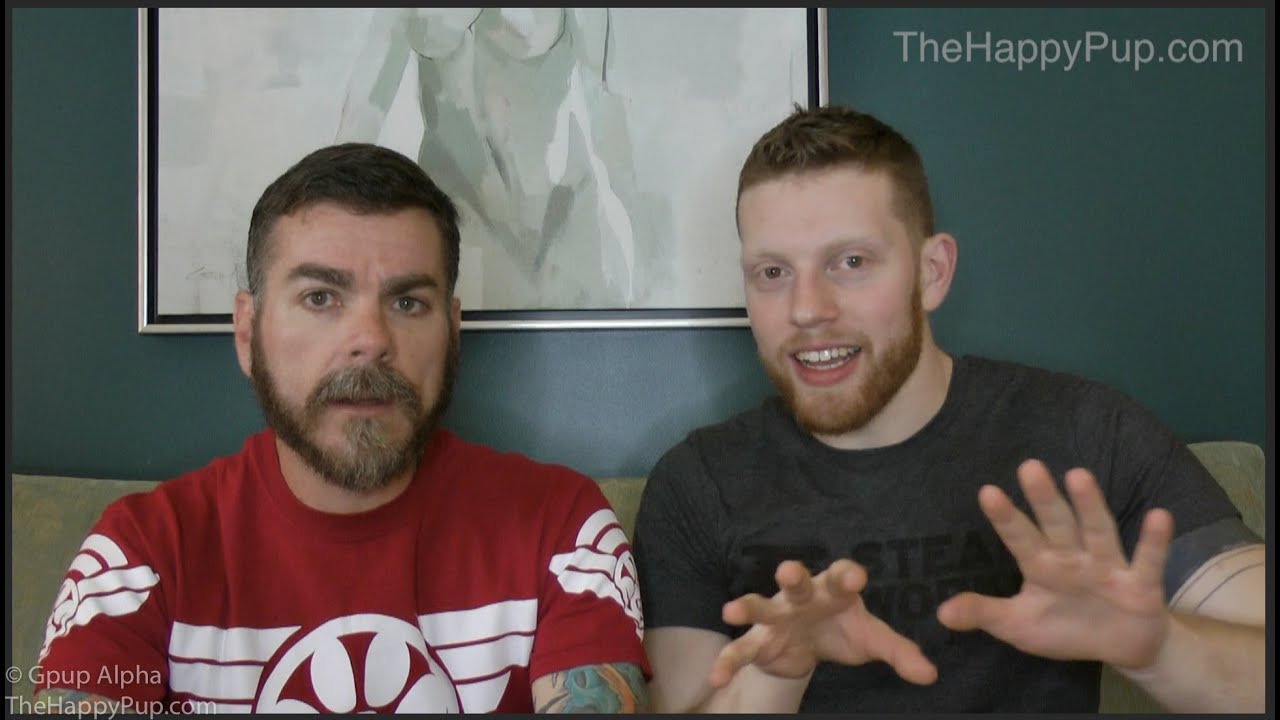 Gpup Alpha & Pup Bolt Talk The Value Of Human Pup Training