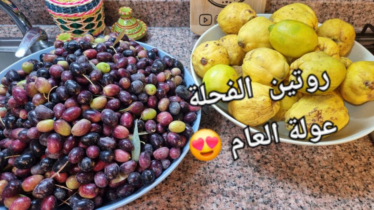 عولة العام و رمضان تعبي نهار و ارتاحي العام كامل 🪬 هذا هو وقتهم مدامهم رخاس#تحضيرات_رمضان #العولة 🇩🇿