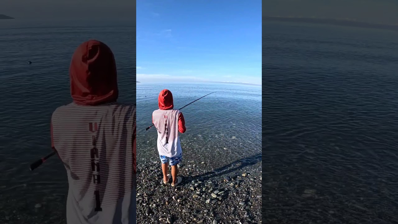 Trevally, Shore Casting 🎣 #fishing #casting