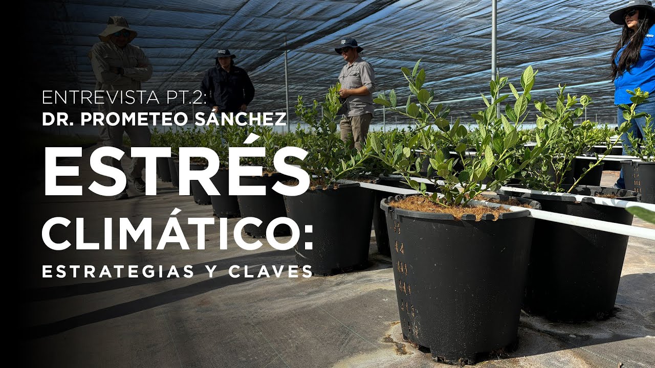 EL MEJOR SUSTRATO para cultivar en climas extremos | Dr. Prometeo Sánchez PT.2