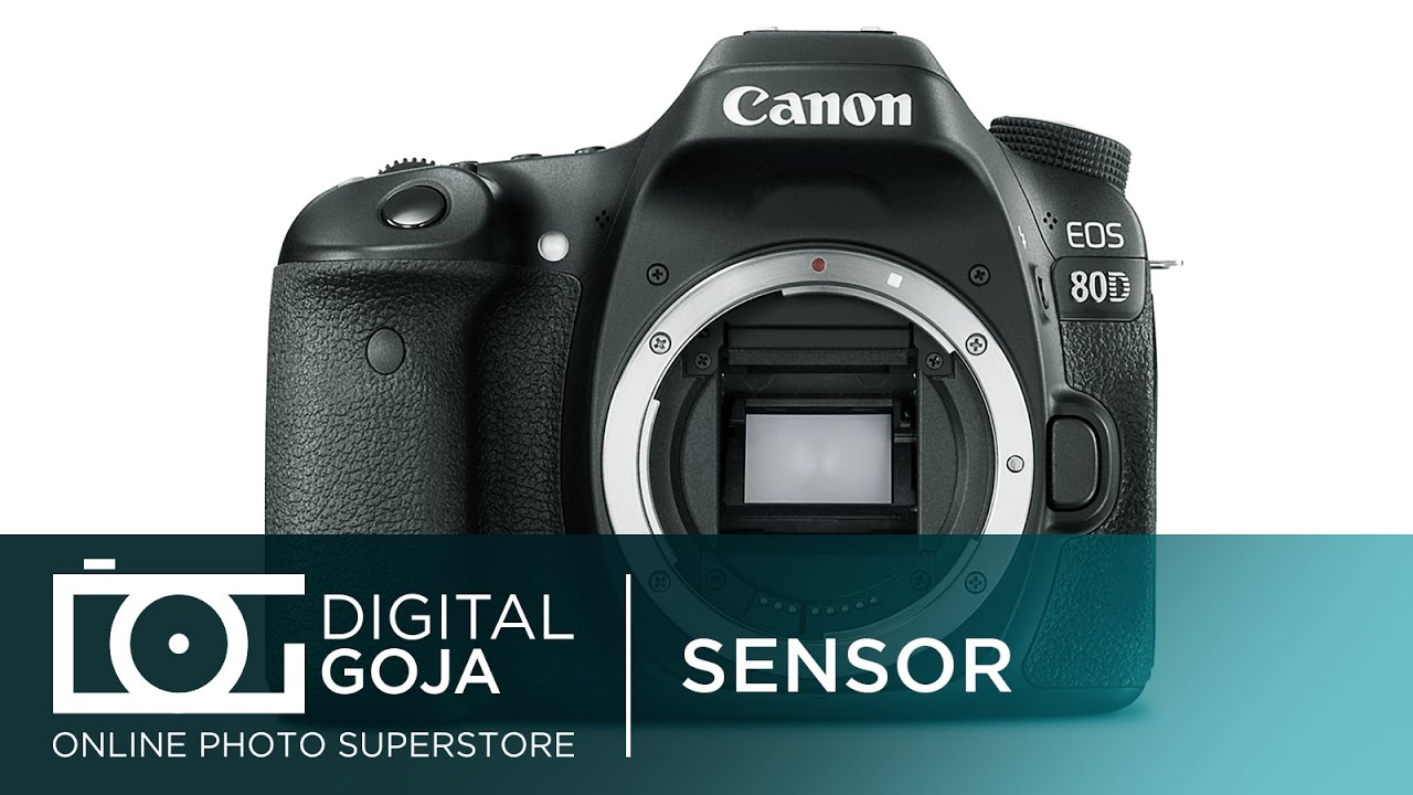Canon 80D EOS DSLR Camera: APS-C CMOS Sensor | Video Tutorial