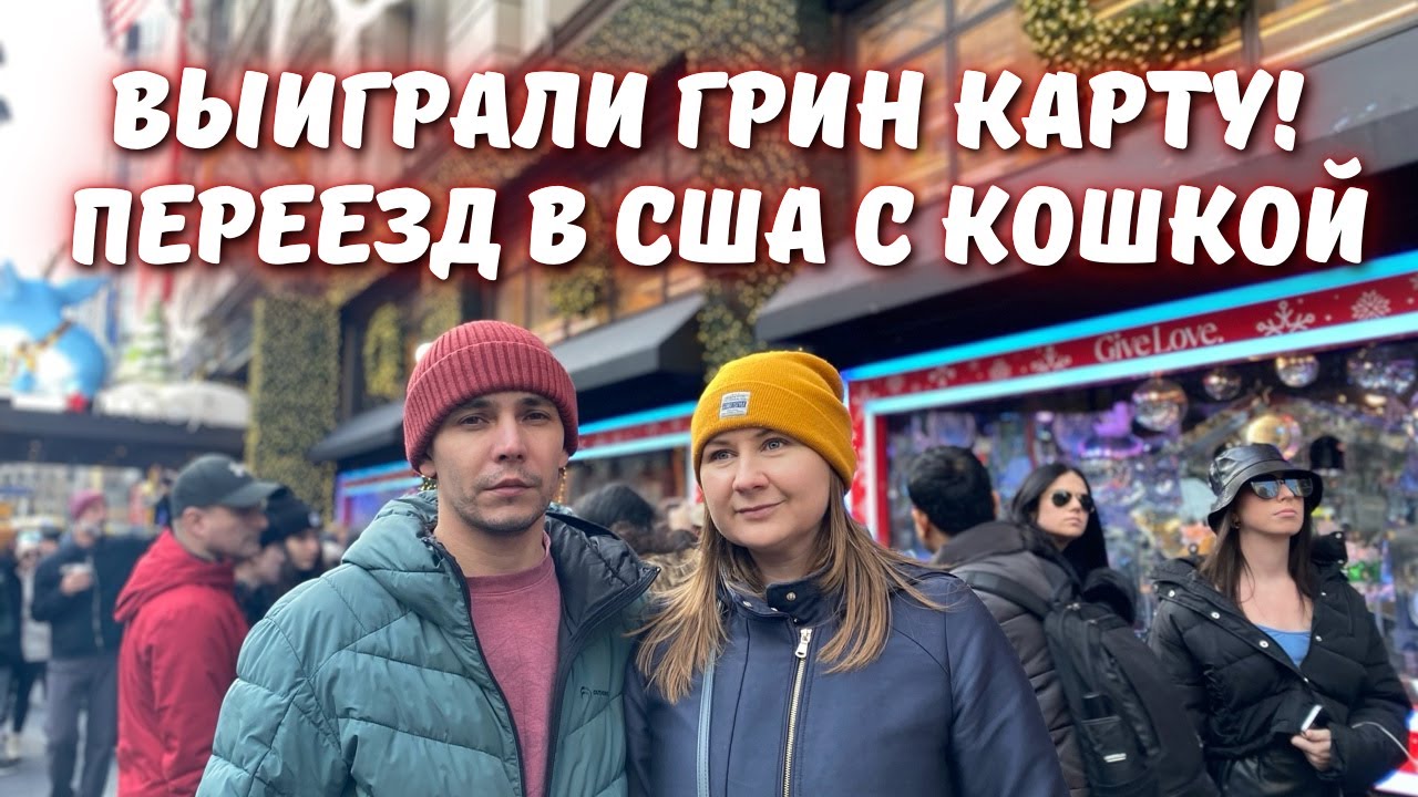 Выиграли Грин Карту dv 2022 переезд в США с кошкой!