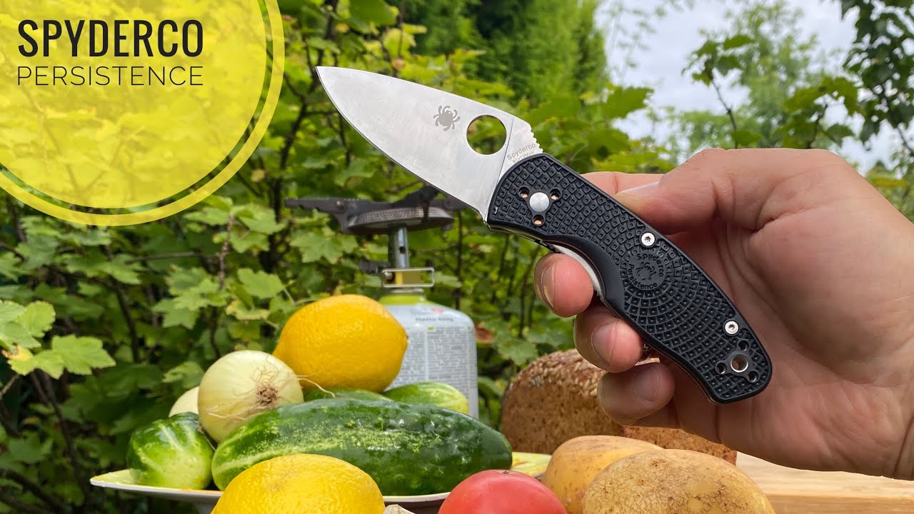 Spyderco Persistence Lightweight кухонный тест ножа