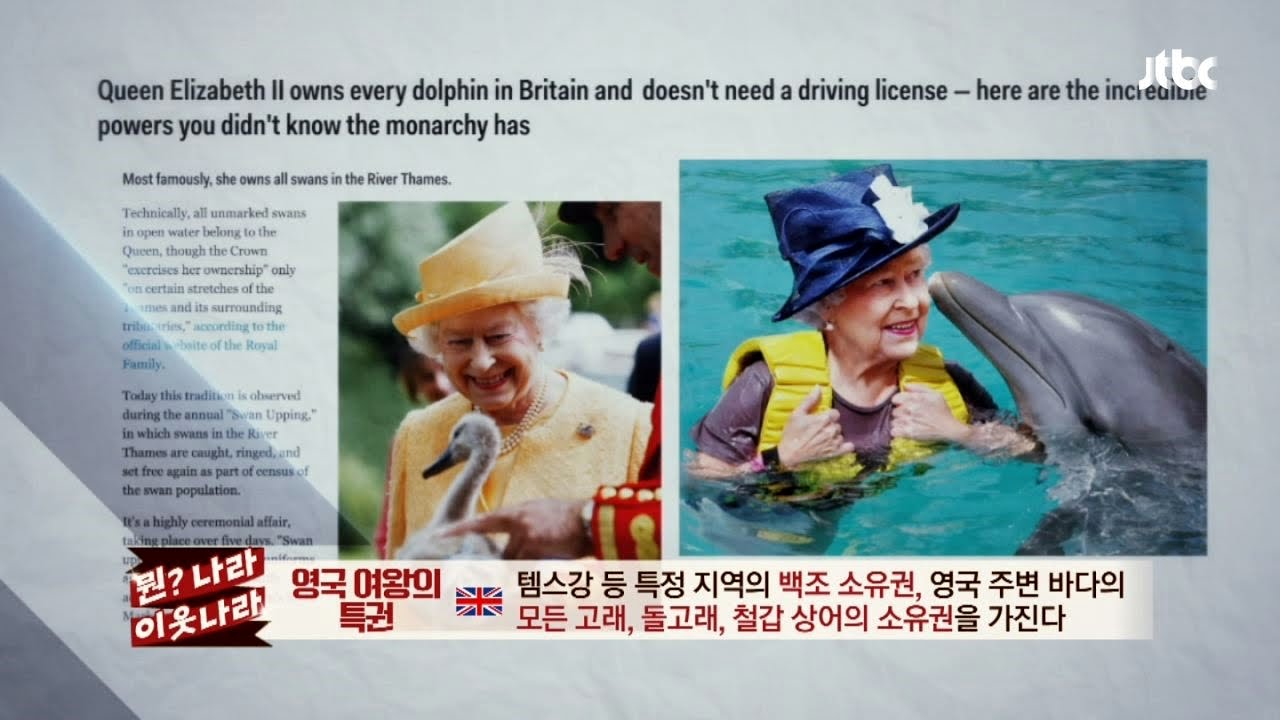 우리가 몰랐던 '영국 여왕'만의 특권! 신기하다~ 비정상회담 67회