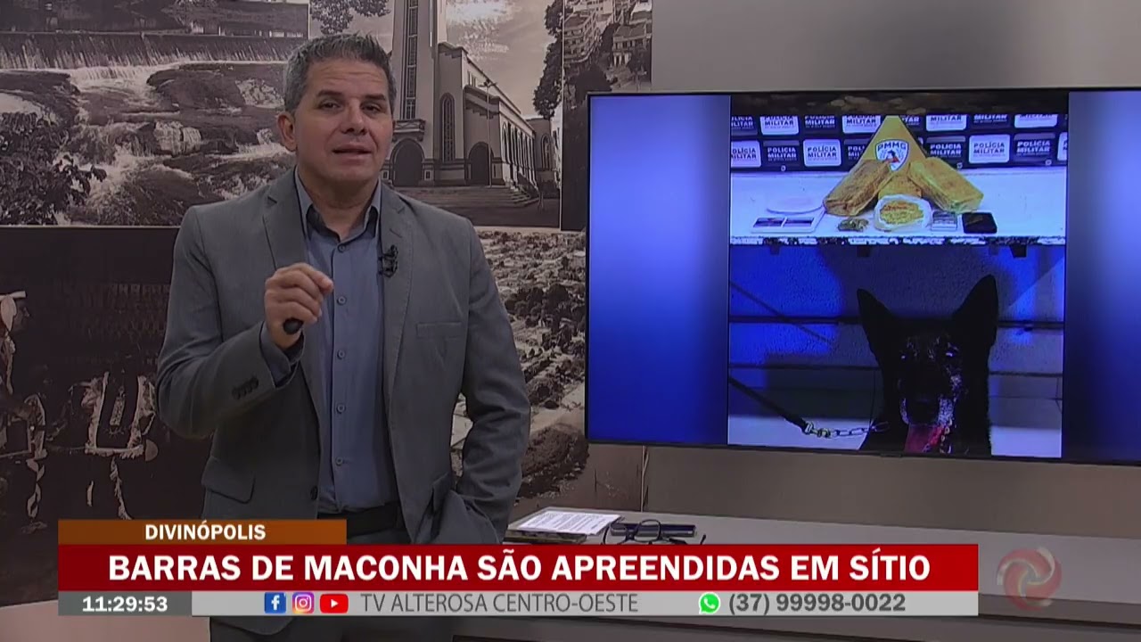 Divinópolis: Barras de maconha são apreendidas em sítio