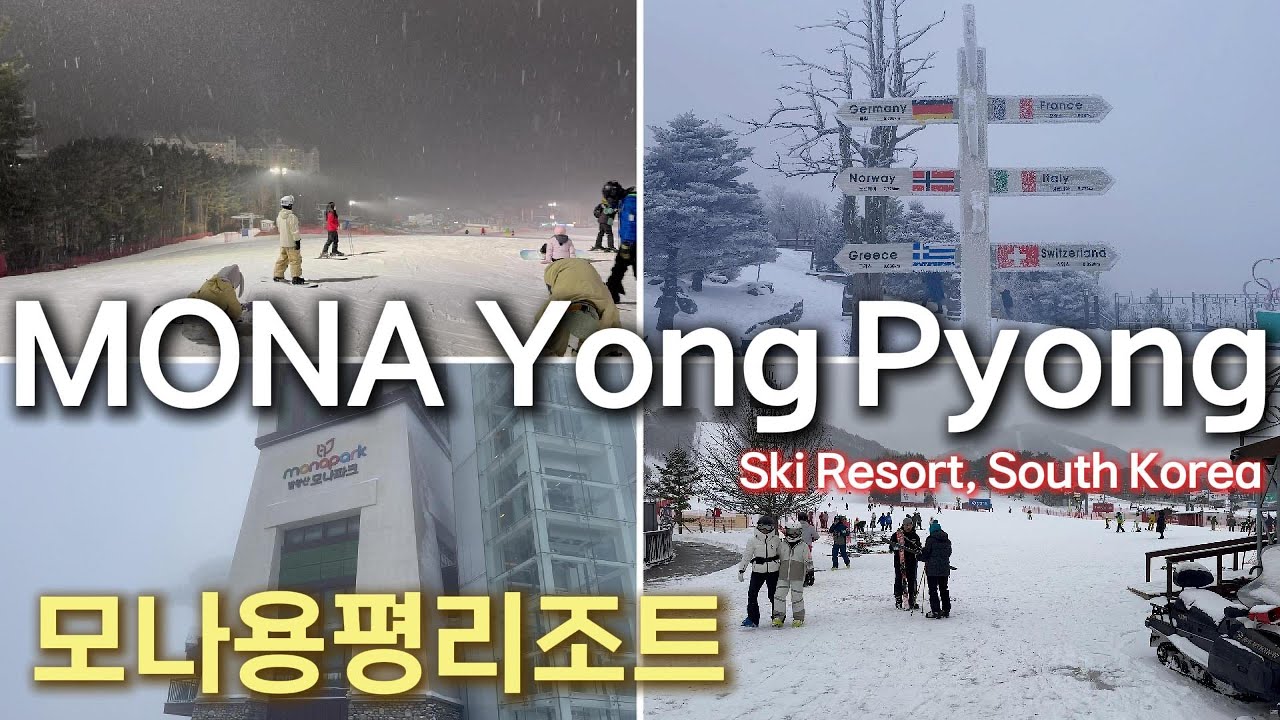 MONA YONG PYONG Ski Resort, South Korea [용평리조트/발왕산 천년주목숲길] Snow 4K
