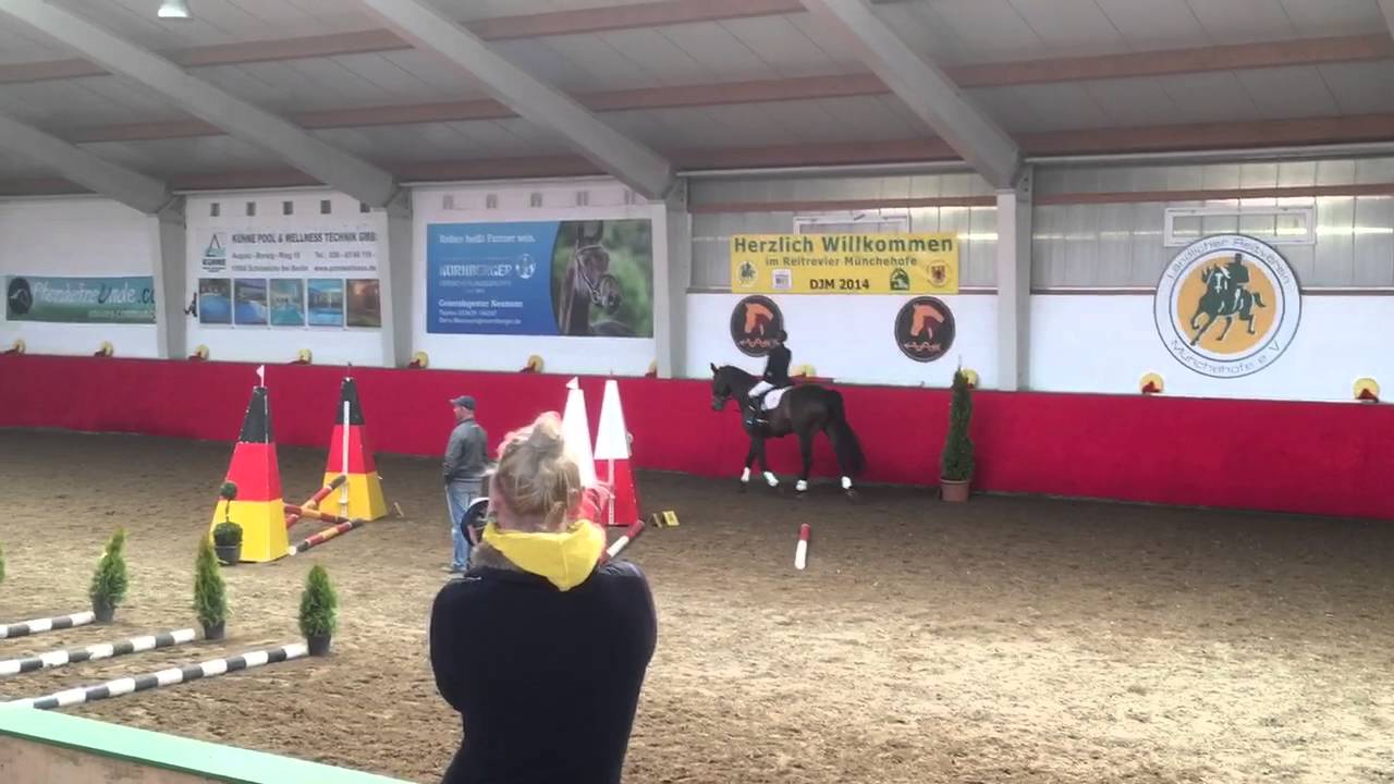 Springreiter-WB / WBO WB 261, M&uuml;nchehofe, 02.04.2016