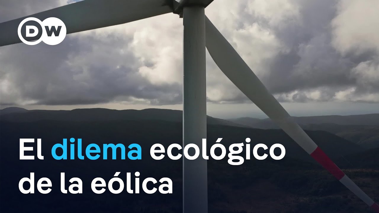Chiloé: riesgo ambiental en biodiversidad y recursos
