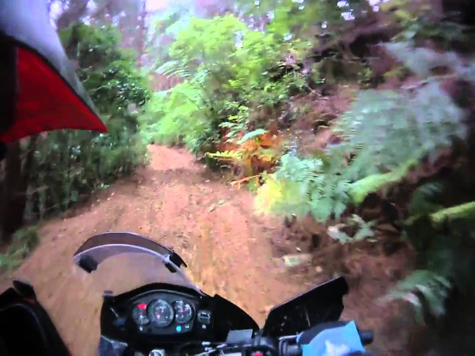 KLR650 & DR650 Trail Riding New Zealand