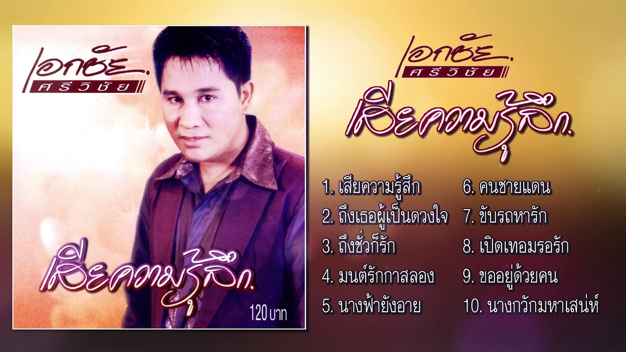 เอกชัย ศรีวิชัย ชุด เสียความรู้สึก [Official Playlist]
