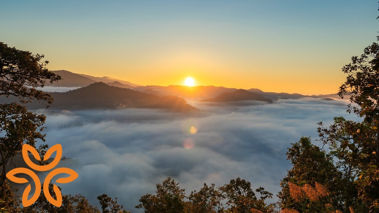 Reflecting on Love, a Guided Meditation | Hello humankindness