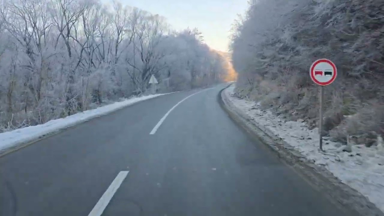 Stanisa Paunovic - Nu ce camje puju mju - Srveki