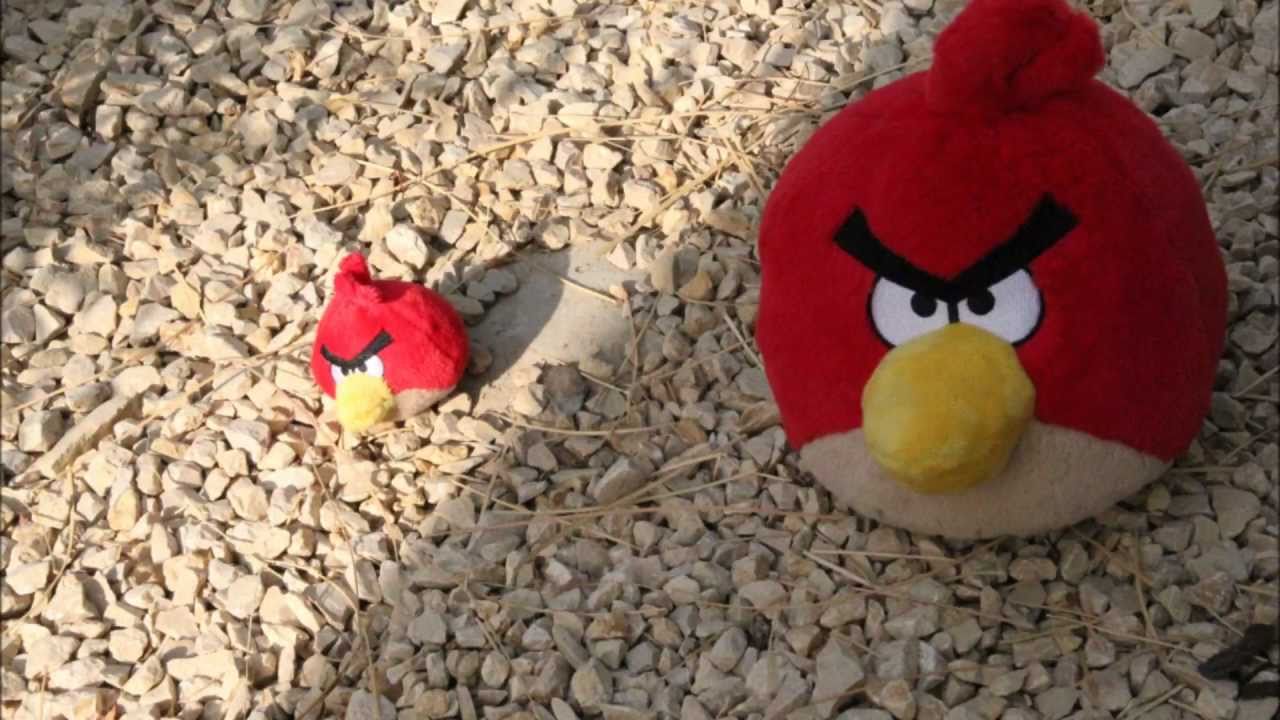 JaiC - Angry Birds (House Remix)