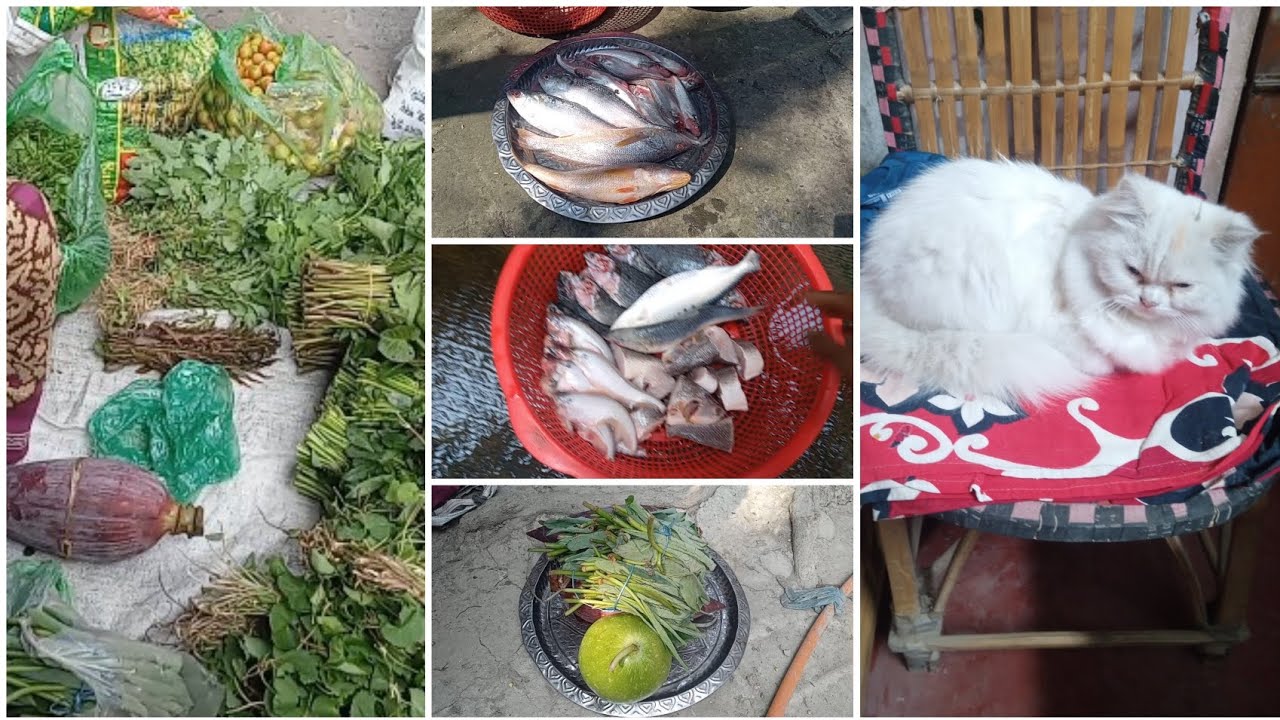 বিড়াল আর পোসবোনা বাজার থেকে কেকে আনলাম  #villagelife #bangla #arifabogvideo 