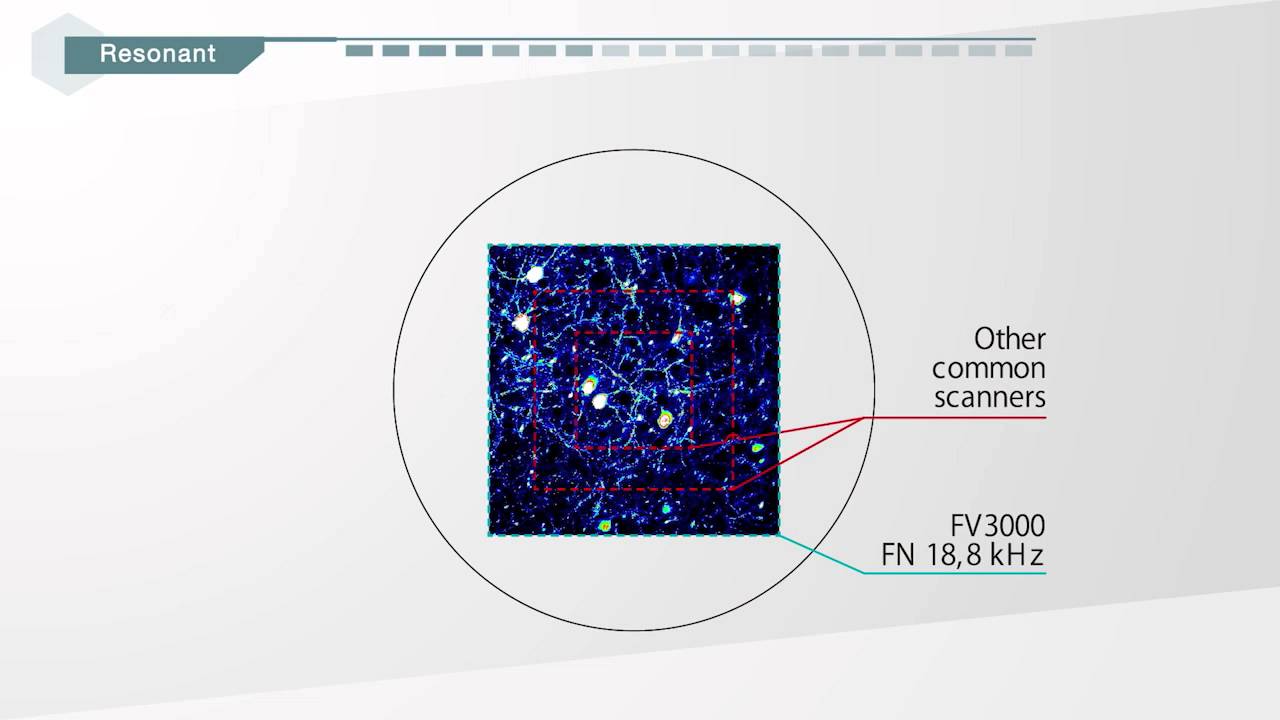 3. Hybrid Scanners